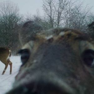 Meet your Posher, Averie